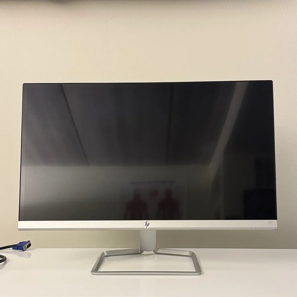 HP 25- Inch Display with Black Screen and Silver Frame